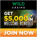 Wild Casino image